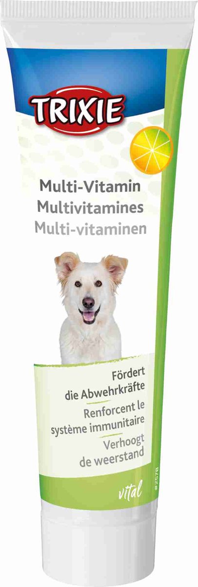 Trixie multi-vitamine pasta hond 100 gram - hondensnack