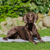 Trixie koelmat soft grijs