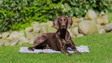Trixie koelmat soft grijs - afbeelding 4