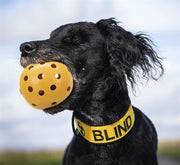 Trixie Gatenbal natuurrubber met bel voor blinde of gehandicapte hond - afbeelding 3