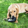 Happy pet grrrelli tyre tugger zwart groen