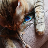 Croci euphoria kattenhengel matatabi pauwenveer - afbeelding 3