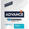 Advance puppy protect medium