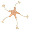 Trixie be nordic zeester jane pluche touw beige