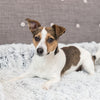 Trixie Sofa bed harvey meubelbeschermer hoekig wit zwart