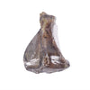 Petsnack Varkensschouderblad