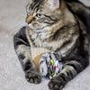 Rosewood Moody moggy krabspeelgoed karton