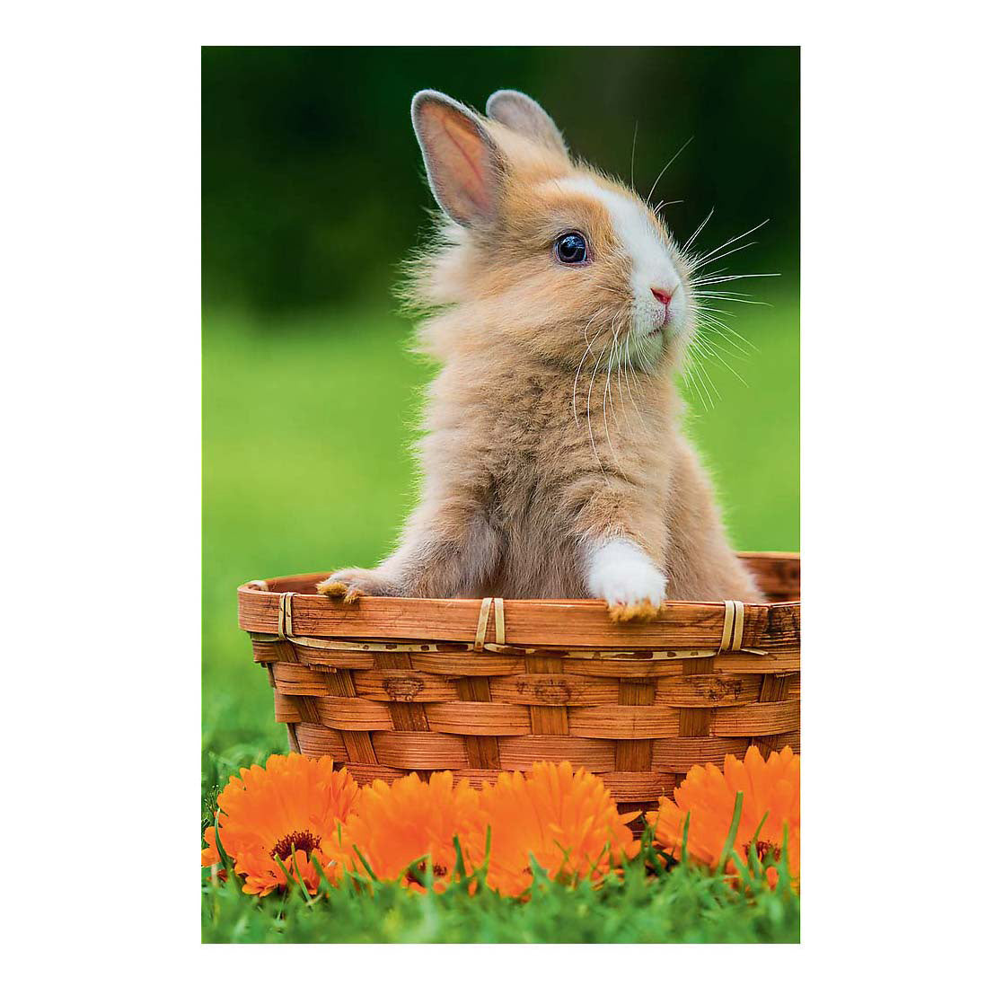 Mini puzzel lovely animals - 54st.