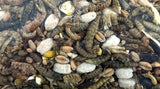 Utopia Strooivoer met insecten - afbeelding 2