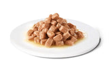 Advance Veterinary diet dog cat recovery herstel - afbeelding 2