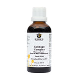 De groene os Solidago complex hond kat - afbeelding 1