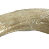 Petsnack hoorn core