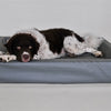 Bia bed kunstleer hoes hondenmand grijs