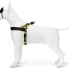 Morso norwegian hondentuig gerecycled full metal dog bruin