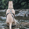 Morso hondentuig h-tuig gerecycled full metal dog bruin