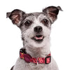 Morso halsband hond gerecycled pink think roze