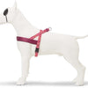 Morso norwegian hondentuig gerecycled pink think roze