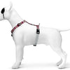 Morso hondentuig h-tuig gerecycled skyline rood roze