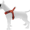 Morso mini hondentuig verstelbaar gerecycled urban lizard rood
