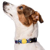 Morso halsband hond gerecycled color invaders paars