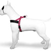 Morso norwegian hondentuig gerecycled bubble leo roze