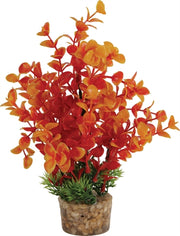 Zolux Ornament pastic plant op stenen vrolijk assorti - afbeelding 2