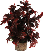 Zolux Ornament pastic plant op stenen vrolijk assorti - afbeelding 3
