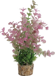 Zolux Ornament pastic plant op stenen vrolijk assorti - afbeelding 4
