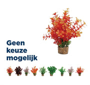 Zolux Ornament pastic plant op stenen vrolijk assorti - afbeelding 1