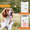 Weenect Weenect tracker hond wit
