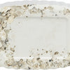 Trixie piksteen met schelpen mineralen en mosselen