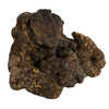 Dog woodzzz kauwwortel met olijfolie