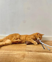 Martin kattenspeelgoed estelle kussen met catnip gerecycled assorti - afbeelding 3