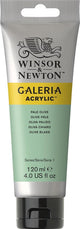 Winsor newton galeria acryl 120ml pale olive