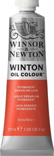 Winsor newton winton olieverf 37ml - 480 permanent geranium lake
