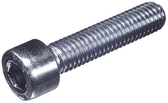 Dresselhaus kaaskopschroef 0300 cylindrical with inner6ct 8 x 30mm