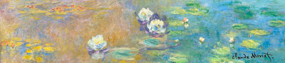 Brillygv2 muziekje: monet nympheas. (la