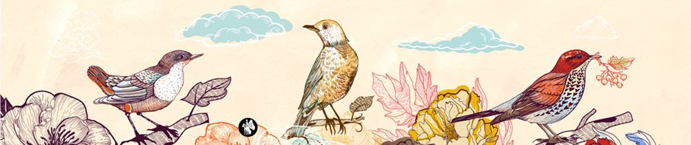 Rondo muziekje: birds 02 (mozart lullab)