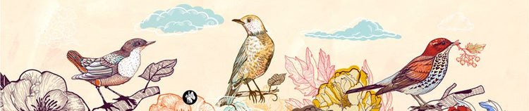 Rondo muziekje: birds 02 (mozart lullab)