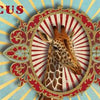 Rondo59 muziekje: circus (pink panther).