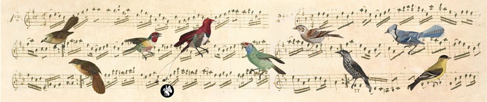 Rondo61 muziekje: notes (wie schön, dass