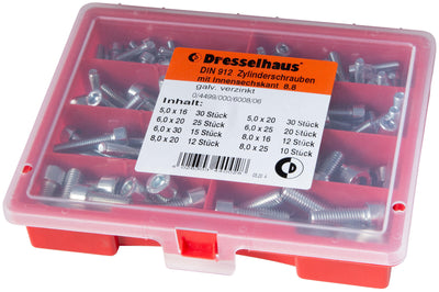 Dresselhaus kaaskopschroef assorted cylinder bolts nt w. inside hexagon