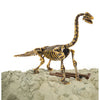 Dino base | 3 stuks