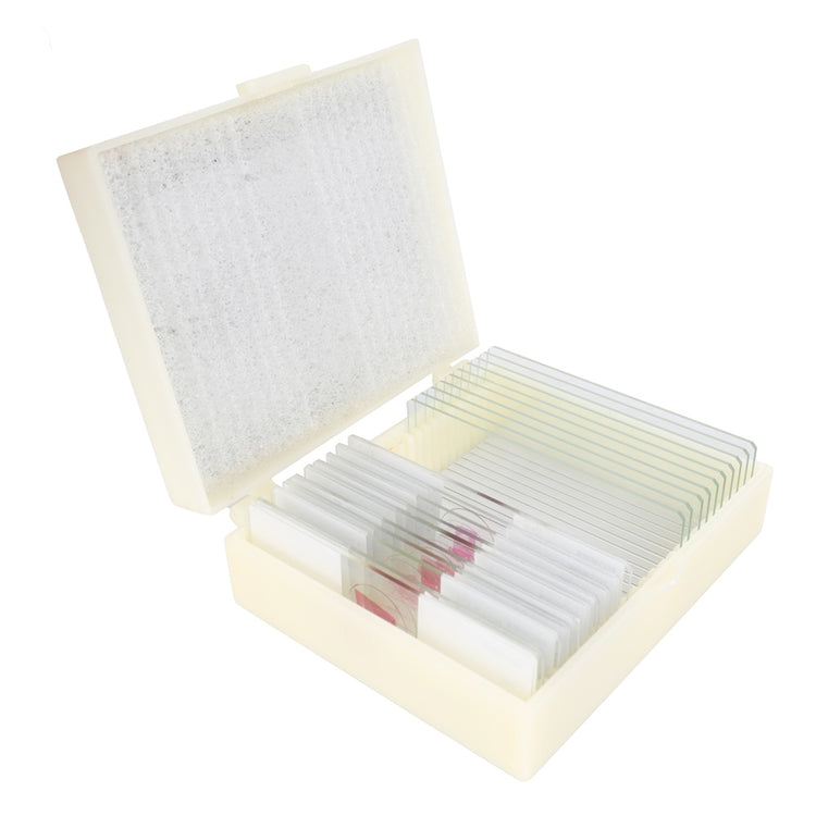 Konus preparaten set bacterieën, simpele organismen (10 stuks)