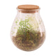 Naturel collections dijk natural collections vaas glas met kunstplant ø19.5x23.5cm
