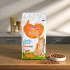 Smolke Cat adult kip rijst