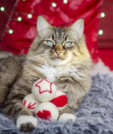 Cupid comet wollen ballen - afbeelding 3