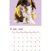 kalender rabbits studio 2025