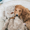 My dog hond pluche bruin