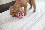 Jw hol-ee roller trend-ee roze - afbeelding 3